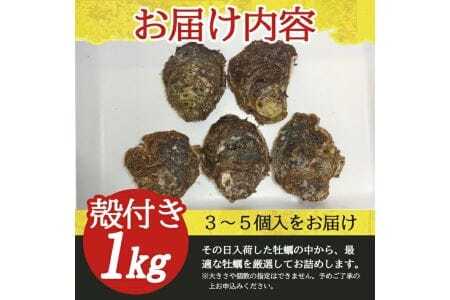 天然岩牡蠣 約1kg 3～5個入 殻付き 山形県遊佐町吹浦産 6月上旬～8月下旬頃お届け 冷蔵便 ※着日指定・離島（沖縄県を含む）発送不可 カキ かき 岩かき お取り寄せ 日本海 東北 庄内 鮮魚 新鮮 [1471]