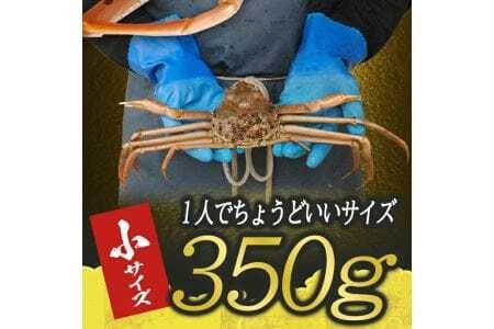 生・本ズワイガニ 1匹 350g程度 遊佐沖 10月中旬～12月下旬頃お届け 冷蔵便 ※着日指定・離島（沖縄県を含む）発送不可 1人前 東北 山形県 庄内地方 日本海 カニ 蟹 かに 海産物 シーフード 海鮮 新鮮 鮮魚 まるごと 生食 刺身 ボイル 期間限定 [852]