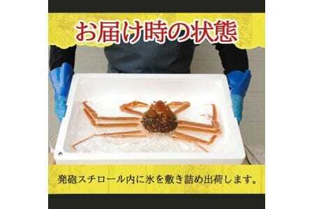 生・本ズワイガニ 1匹 700g程度 遊佐沖 10月中旬～12月下旬頃お届け 冷蔵便 ※着日指定・離島（沖縄県を含む）発送不可 2人前 東北 山形県 庄内地方 日本海 カニ 蟹 かに 海産物 シーフード 海鮮 新鮮 鮮魚 まるごと 生食 刺身 ボイル 焼き 期間限定 [854]