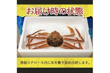 生・本ズワイガニ 1匹 800g程度 遊佐沖 10月中旬～12月下旬頃お届け 冷蔵便 ※着日指定・離島（沖縄県を含む）発送不可 2人前 3人前 東北 山形県 庄内地方 日本海 カニ 蟹 かに 海産物 シーフード 海鮮 新鮮 鮮魚 まるごと 生食 刺身 ボイル 焼き 期間限定 [855]