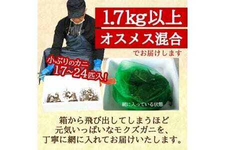 生・天然モクズガニ 1.7kg以上 小ぶりサイズ 17～24匹 オス・メス混合 山形県庄内産 9月中旬～12月上旬頃順次発送 冷蔵便 ※着日指定・離島（沖縄県を含む）発送不可 カニ 蟹 かに 川ガニ 新鮮 鮮魚 まるごと 姿 カニみそ 味噌汁 蒸し蟹 期間限定 [972]