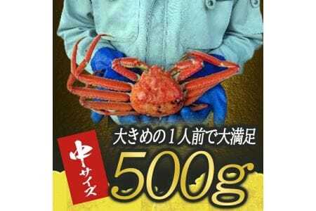 ボイル 本ズワイガニ 1匹 500g程度 遊佐沖 10月中旬～12月下旬頃お届け 冷蔵便 ※着日指定・離島（沖縄県を含む）発送不可 東北 山形県 遊佐町 庄内地方 日本海 カニ 蟹 海産物 シーフード 海鮮 新鮮 まるごと ボイル 焼き 期間限定 お取り寄せ ゆで 茹で [974]