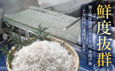 【最速発送】釜揚げ龍馬しらす 約250g×2パック【株式会社　七和】 [ATAX011]　スピード 最短 最速 発送