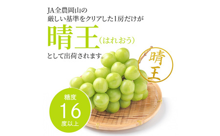 シャインマスカット晴王 約600g 1房程度 橋田商店有限会社 先行予約《2026年9月中旬-11月中旬頃出荷》 岡山県 浅口市 岡山県産 ぶどう フルーツ 果物 くだもの マスカット 送料無料【配送不可地域あり】（北海道・沖縄・離島）