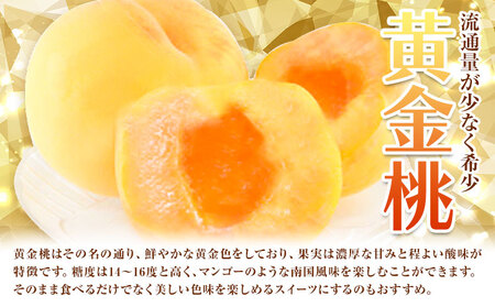 黄金桃 約3.8kg 花田青果株式会社 桃
