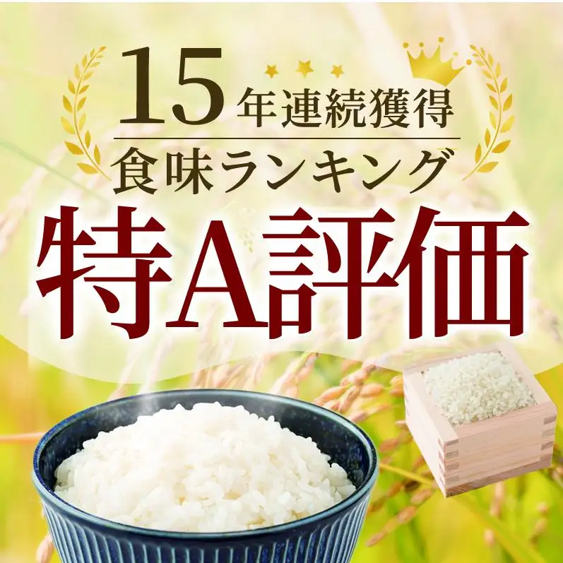 期間限定 令和7年産 米 3kg さがびより 佐賀県産 特A お米 こめ コメ 白米 五つ星 お米マイスター厳選 弁当
