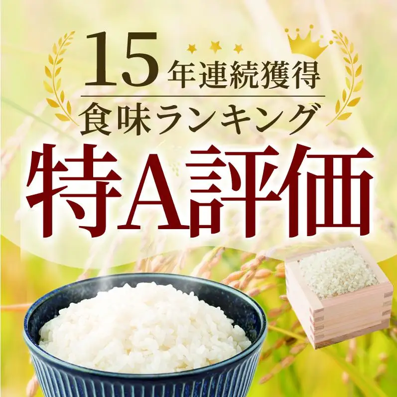 期間限定 令和7年産 米 6kg ( 3kg × 2袋 ) さがびより 佐賀県産 特A お米 こめ コメ 白米 五つ星 お米マイスター厳選 弁当