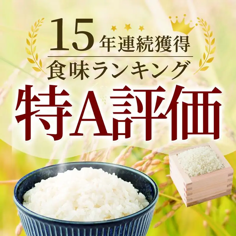 期間限定 令和7年産 無洗米 6kg ( 3kg × 2袋 ) さがびより 佐賀県産 特A 米 お米 こめ コメ 白米 五つ星 お米マイスター厳選 弁当