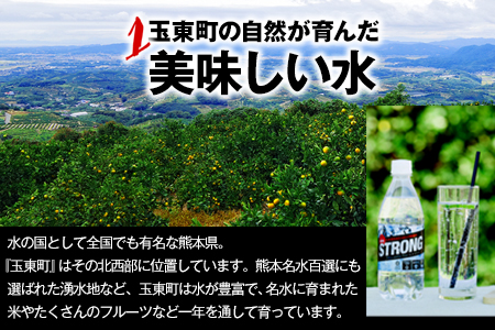 6か月定期便★強炭酸水6箱（計6回お届け 合計6ケース: 500ml×144本）《申込み翌月から発送》 定期便 あり ★強炭酸水★クリアで爽快な喉越し!くまもと風土の強炭酸水★ストロング炭酸水 定期便あり ハイボールなどお酒の割材にも ソーダ 送料無料 定期便あり熊本炭酸水