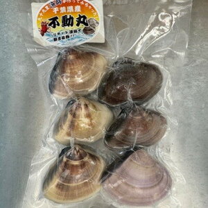 はまぐり 3kg 大サイズ 天然 【 ハマグリ 蛤】