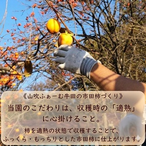 【数量限定】市田柿 2Lサイズ 500g×2袋 ＜2027年1月発送開始＞