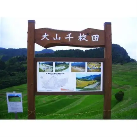 令和7年産千葉県産長狭米コシヒカリ精米10kg【1576561】