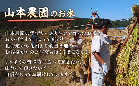 令和7年 新潟県上越市産 コシヒカリ（特別栽培米） 10kg 10キロ 米 こしひかり 山本農園 ご飯 精米 新潟 上越