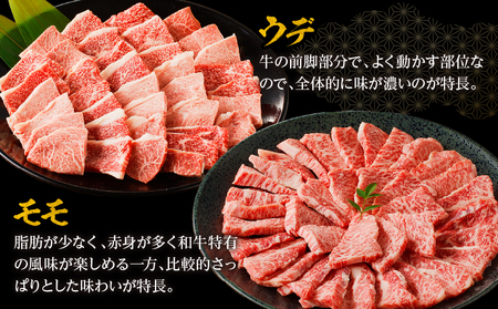 牛肉 赤身 牛肉[宮崎牛 ウデ・モモ 焼肉 800g]
