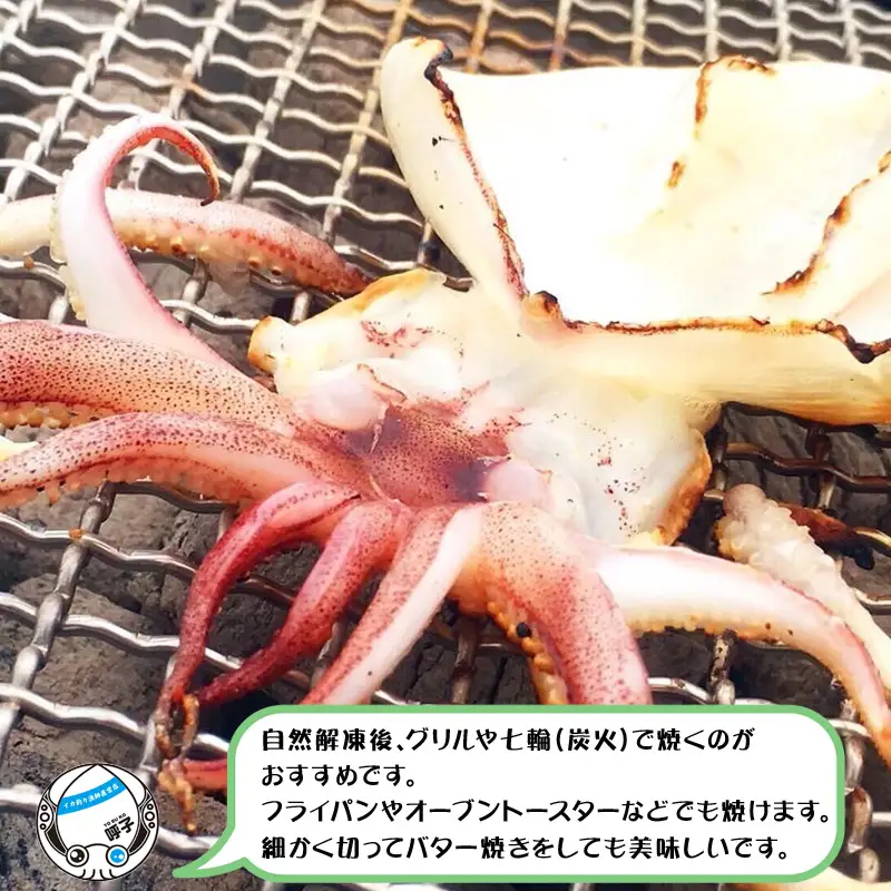 海から直送！剣先イカ一夜干し1袋2枚入り(200ｇ)×2袋 いか おつまみ 干物 酒の肴