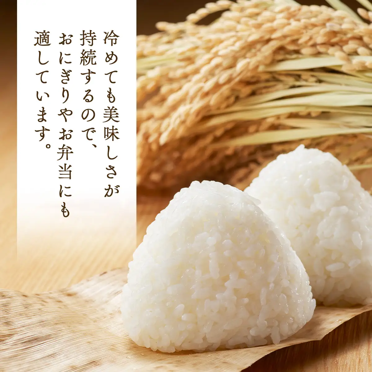 【令和7年産】瀬川農場まっしぐら 精米5kg【ご飯 ごはん 米 こめ お米 弁当 精米 一等米 国産米 県産米 ブランド米 おにぎり 国産 青森県 七戸町】【02402-0333】