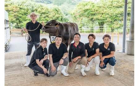 PB9x1 佐賀牛100％の贅沢ハンバーグ 150g×7個 手造り 佐賀牛 国産牛 和牛 ブランド牛 牛肉 肉 おすすめ 佐賀県 太良町