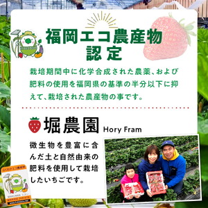 【2026年12月より順次発送】福岡県エコ農産物認定　堀農園のよつぼし400g_ いちご フルーツ 果物 先行受付 〔Fi073〕