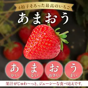 【2026年12月より順次発送】福岡県エコ農産物認定　堀農園のあまおう400g_ いちご〔Fi074〕