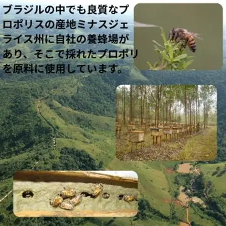 バイオフラボンメディック 60粒【1545712】