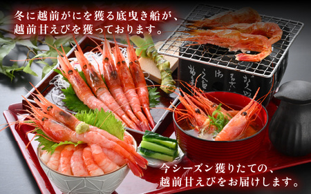 大好評!よねはるお薦めの越前甘えび (卵なし) 中サイズ 計約1kg (約500g × 2箱)でお届けします!【 えび エビ 海老 甘エビ 甘えび 海鮮 お刺身 魚介 おせち 無添加 冷凍 福井県産】 [m17-b011]