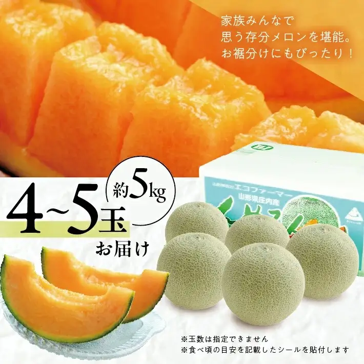 赤肉メロン 約5kg 4～5玉入 山形県遊佐町産 6月下旬～7月下旬頃お届け ※着日指定不可 果物 フルーツ メロン 赤肉 夏 東北 山形県 遊佐町 庄内 庄内砂丘 JA [1439]