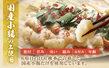 Y61-25 博多若杉 牛もつ鍋（醤油）＆水炊きセット(各4～5人前) もつ鍋