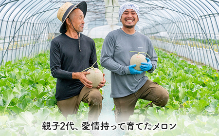 【2026年夏発送】北海道 富良野産 青肉メロン 1玉 1.4kg～1.8kg ふらの メロン ギフト 果物 青玉(榎本農園) メロン キングメルティ フルーツ 果物 新鮮 甘い 贈り物 ギフト 道産 ジューシー おやつ ふらの ブランド 夏