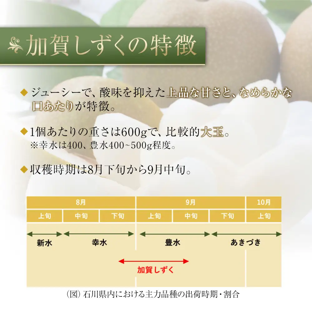【2026年8月下旬以降発送】【先行予約】加賀しずく梨 6～10個