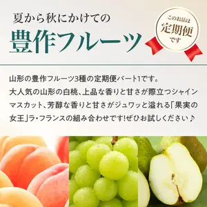 ≪先行受付≫ 【2026度年発送】山形豊作フルーツ人気Ａ【定期便全3回】 060-T02