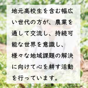 足柄ふれあい公園 体験農園 みんなの畑・おやま協賛プラン	