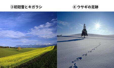 写真家　阿部俊一　額付き写真 [036-35]