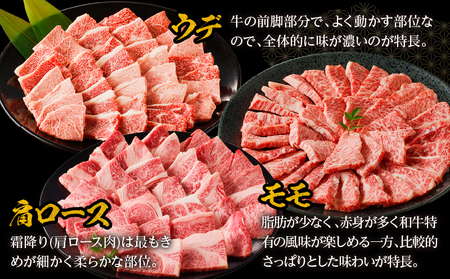 牛肉 焼肉 牛肉[宮崎牛 赤身・霜降り セット 800g]