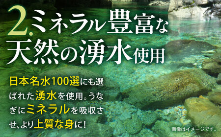 【3回定期便】【諫早淡水】うなぎ白焼き2尾  / うなぎ 白焼き 栄養価 小分け 冷凍 / 諫早市 / 諫早淡水 [AHAT045]