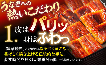 【6回定期便】【諫早淡水】特大うなぎ蒲焼2尾 / 特大 うなぎ ウナギ 鰻 国産うなぎ 国産鰻 蒲焼き 蒲焼 かばやき うな重 うな丼 / 諫早市 / 諫早淡水株式会社 [AHAT055]