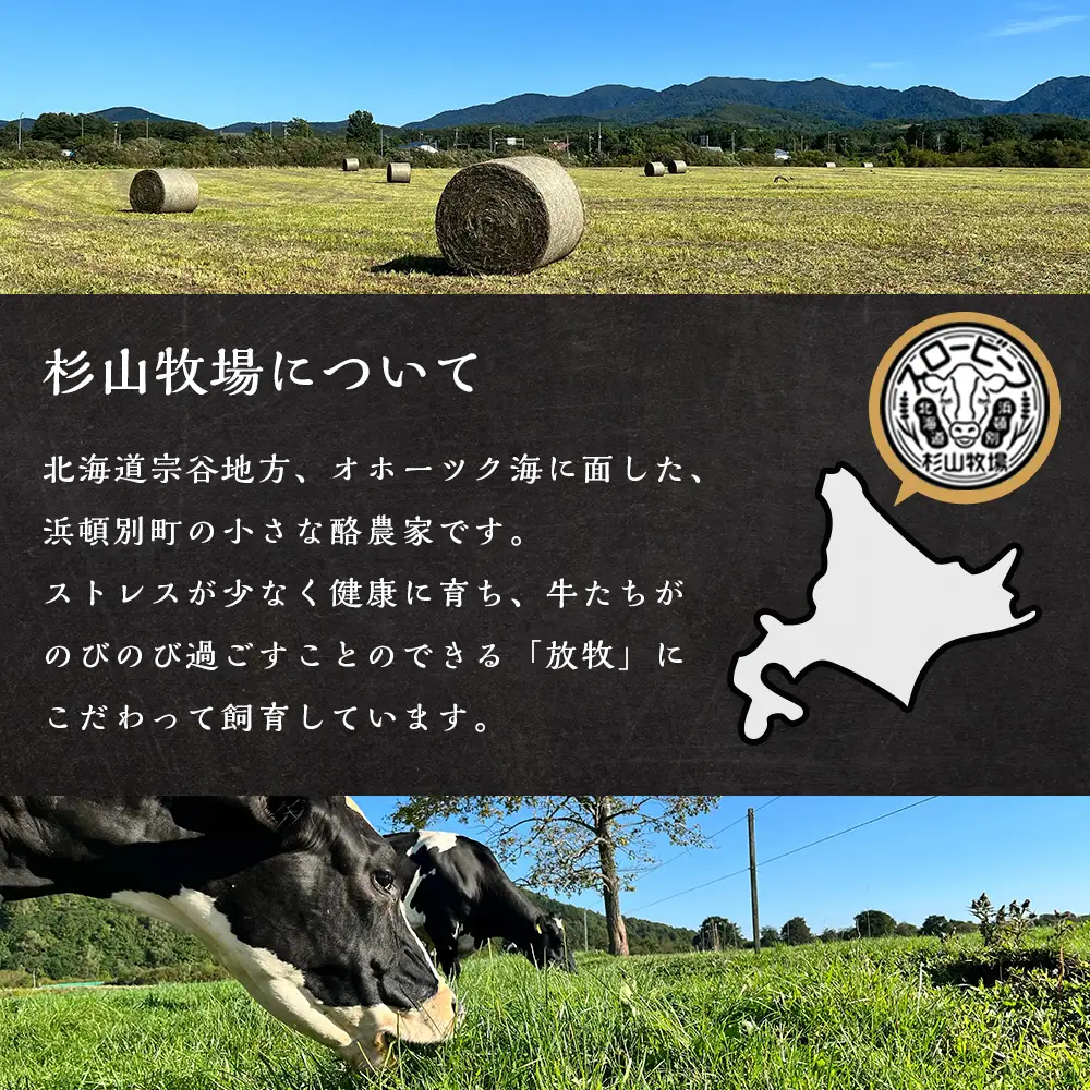 AZ022 放牧牛 スロービーフ トライプジャーキー(犬用) 60g(30g×2) 杉山牧場