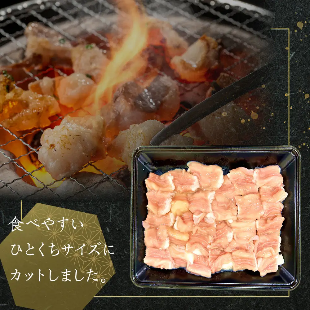 国産牛　ホルモンセット　500g | ホルモン