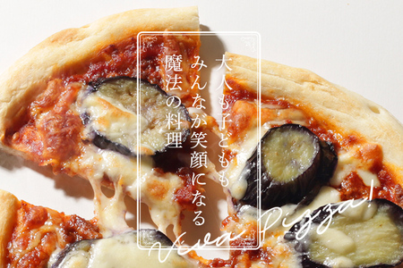 ピエトロ なすとひき肉の辛味トマトソース 10枚セット ピザ 簡単調理 冷凍 冷凍ピザ 惣菜 送料無料