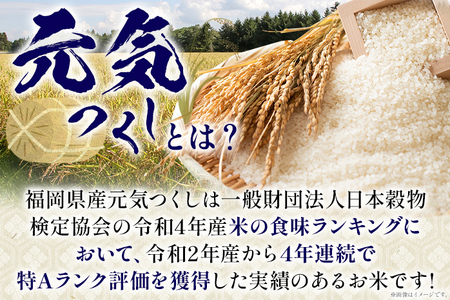 【無洗米】 令和7年産 金のめし丸 元気つくし 合計30kg 10kg (5kg×2袋) ×3回 定期便 白米 精米