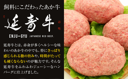 熊本県産 延寿牛 あか牛 ハンバーグ 約150g×10個 合計約1.5kg 株式会社原田畜産《30日以内に出荷予定(土日祝除く)》小分け 個包装 お肉 和牛 ハンバーグ 焼くだけ 熊本県産 九州産 国産 冷凍 送料無料