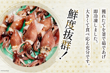 釜茹でほたるいか 100g × 2パック [聖徳丸 富山県 朝日町 34310453] 冷凍 ホタルイカ ほたるいか イカ いか