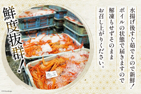 【期間限定発送】 【漁師厳選】 紅ズワイガニ ボイル済 中サイズ3～4杯 計1.5kg前後 [聖徳丸 富山県 朝日町 34310513]