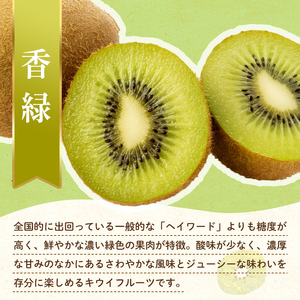 【フルーツ定期便 2回】 《ピオーネからスタート》 Dセット ピオーネ 約1.2kg 香緑 約3kg ぶどう キウイ キウイフルーツ 旬 果物 国産 香川県 フルーツ定期便 F5J-782