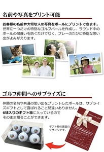 ワールドイーグル 名入れ　ゴルフボール　6球