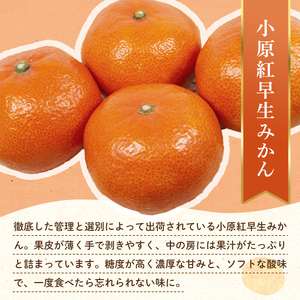 【フルーツ定期便 2回】 《小原紅早生みかんからスタート》 Nセット 小原紅早生みかん 約4.5kg せとか 約5kg みかん 柑橘 旬 果物 国産 香川県 フルーツ定期便 F5J-792