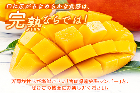 ＜数量限定＞宮崎県産 完熟マンゴー3L×2玉（計900g以上）※2026年4月下旬配送開始 化粧箱入 フルーツ くだもの【C356-26】