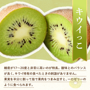 【フルーツ定期便 2回】 《キウイっこからスタート》 Oセット キウイっこ 約1.8kg せとか 約5kg キウイ キウイフルーツ みかん 柑橘 旬 果物 国産 香川県 フルーツ定期便 F5J-814