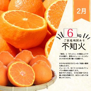 【全4回】紀州和歌山産旬のご家庭用柑橘セット(みかん・不知火・せとか・清見)【tkb412】