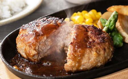 175-1212 【おおいた和牛 100%使用】デミ＆プレーン ハンバーグ ミックス セット 12個 計約1.2kg 牛肉 肉 和牛 おかず 惣菜 冷凍 簡単調理 デミグラス