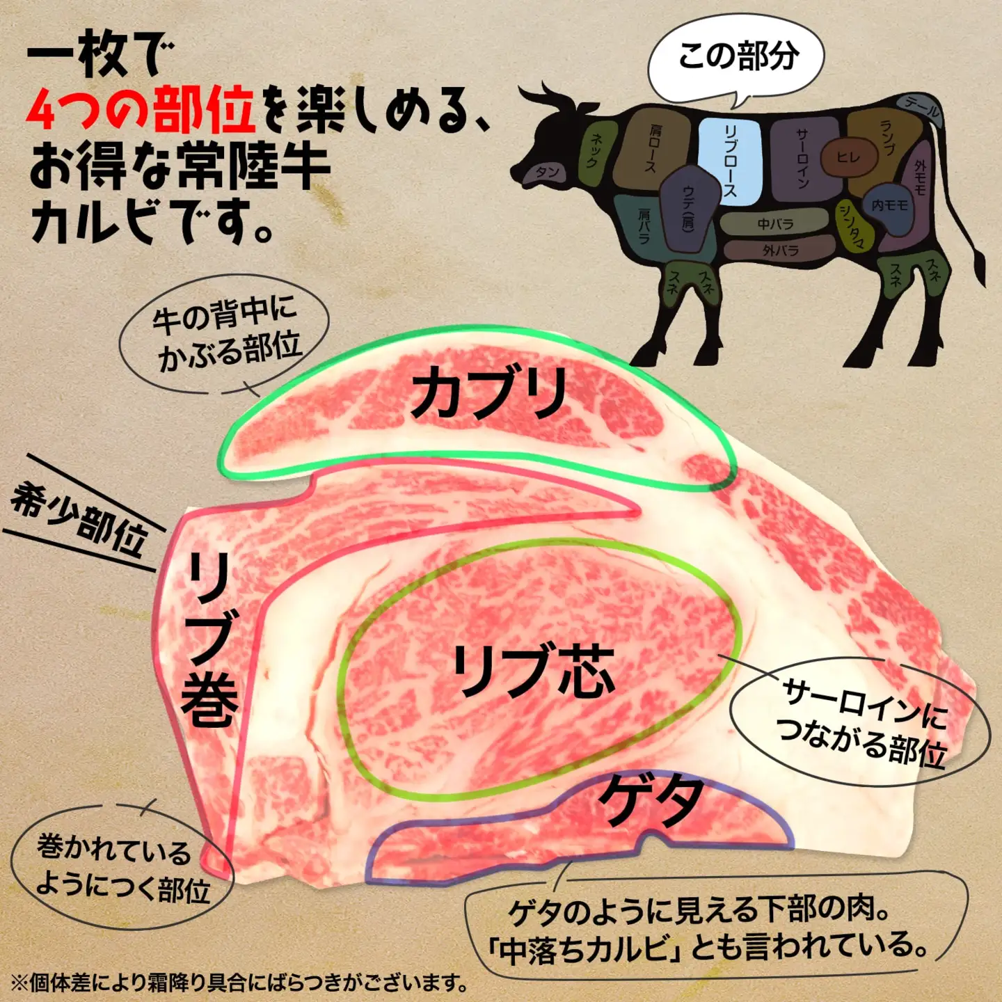 K2469 【最短7日発送】【常陸牛】ハミデルカルビ 500g (3～5枚) 〈茨城県共通返礼品〉